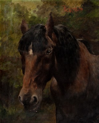 Купить картину Валентайна (Портрет лошади)