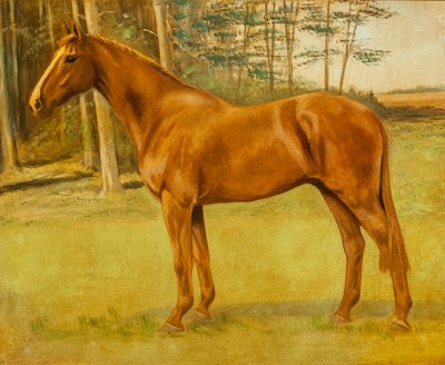 Купить антикварную картину (Лошадь)