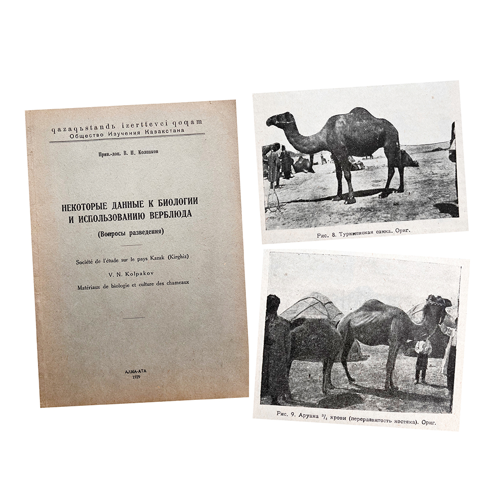 Купить книгу Колпакова (Некоторые данные к биологии и использованию верблюда)